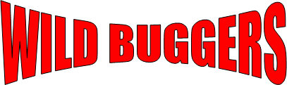 Beach Buggy Club Logo